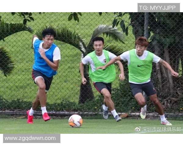 重庆乒乓球队与深圳乒乓球队赛后复盘分析比赛经验与教训