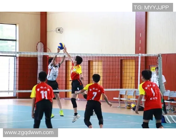 重庆排球队员个人能力分析与发展潜力探讨