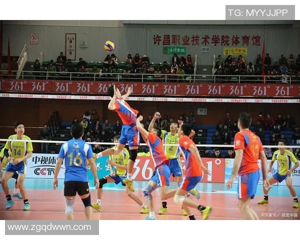 重庆排球队在锦标赛中的团队协作展现出卓越的竞技精神与默契配合