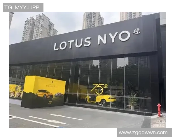 重庆足球队转型之路：从辉煌到重生的深度解析与未来展望