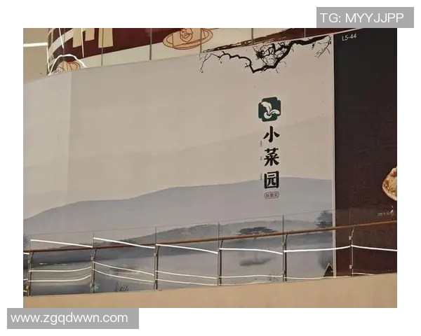 黄伟独家分享羽毛球技巧与心得助你提升球技的全面指南